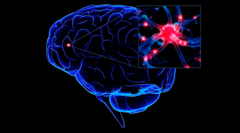 Алкогольная энцефалопатия головного мозга: признаки, последствия и прогноз