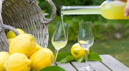 Лимончелло: рецепт на водке, самогоне и спирту