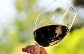 Безалкогольное вино: красное, белое и игристое