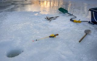 Зимняя рыбалка: как выжить на льду