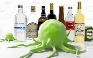 Медики доказали — пьянство вызывает рак