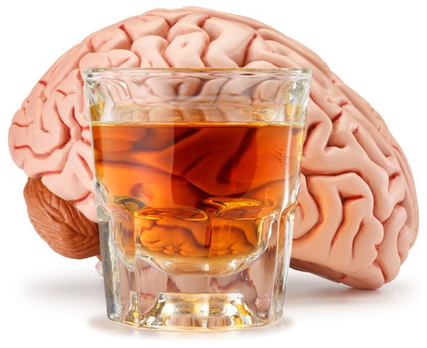 Мозг алкоголика