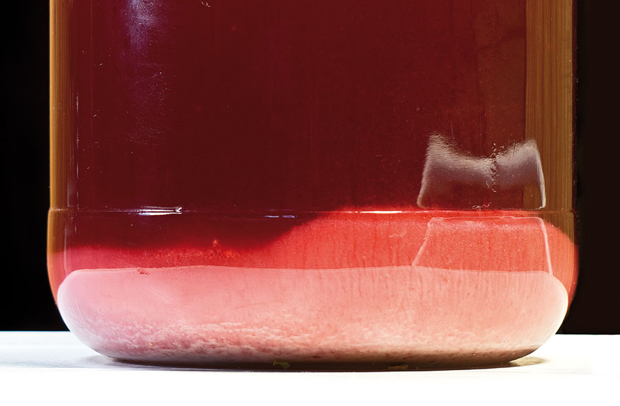 Осадок в вине из красной смородины